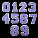 Purple Chenille Gold Trim 5cm Iron-On Patch Numbers